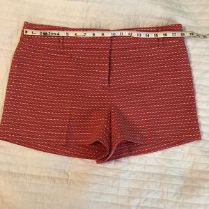 Adorable, dressy LOFT shorts